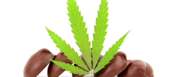 Hemp Ecommerce Marketing Agency: The Threshold That Decides Whether You Can Sell At All