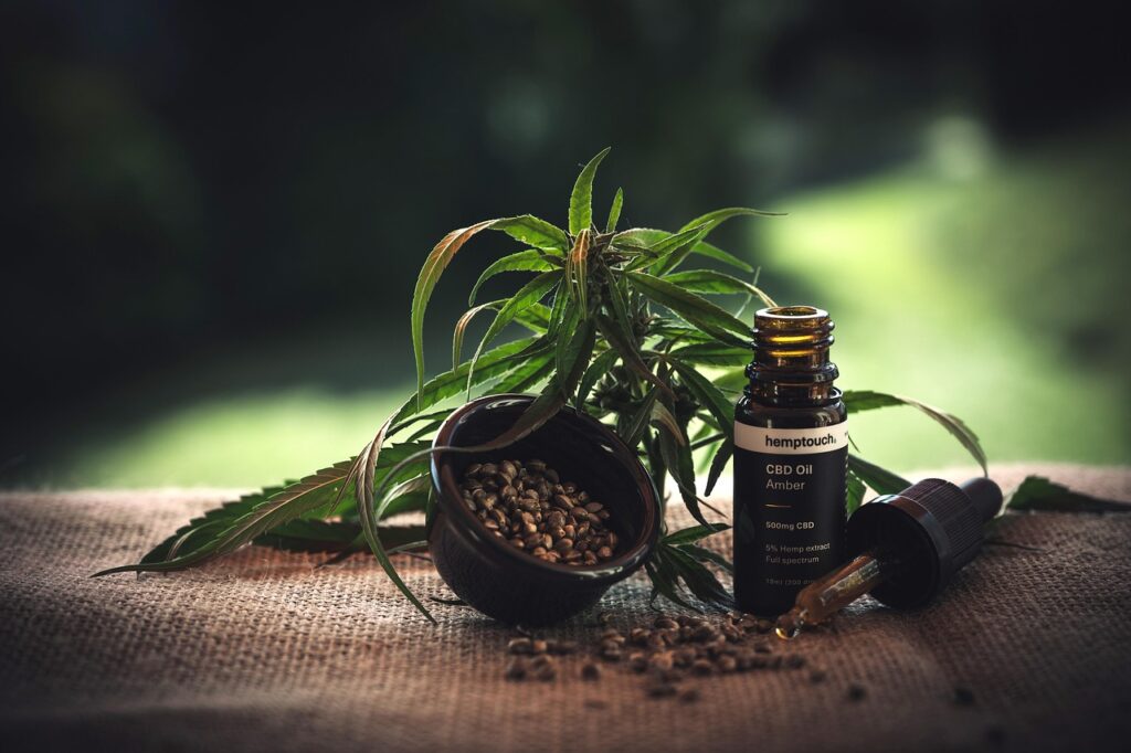 Hemp seed oil bottle surrounded by hemp leaves